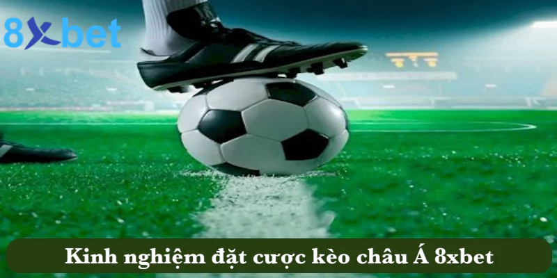 Kinh nghiệm đặt cược kèo châu Á tại 8xbet thắng đậm