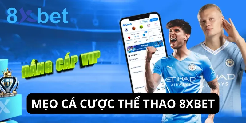 Áp dụng các mẹo cá cược thể thao giúp bạn kiếm bộn tiền tại 8xbet