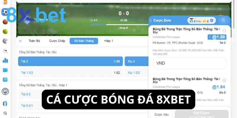 Cá cược bóng đá là sảnh game thu hút nhiều người chơi thất tại 8xbet