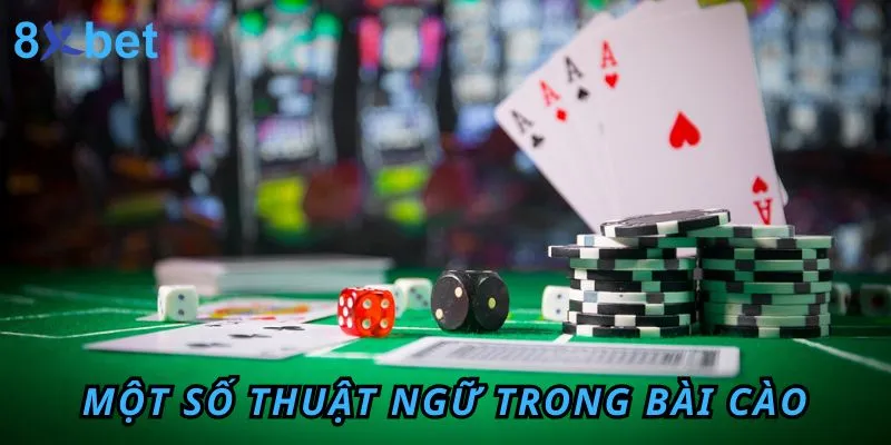 Một số thuật ngữ trong bài Cào cần lưu tâm